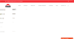 Desktop Screenshot of panamprojects.com